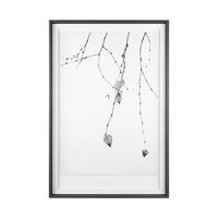 Branch Framed Series