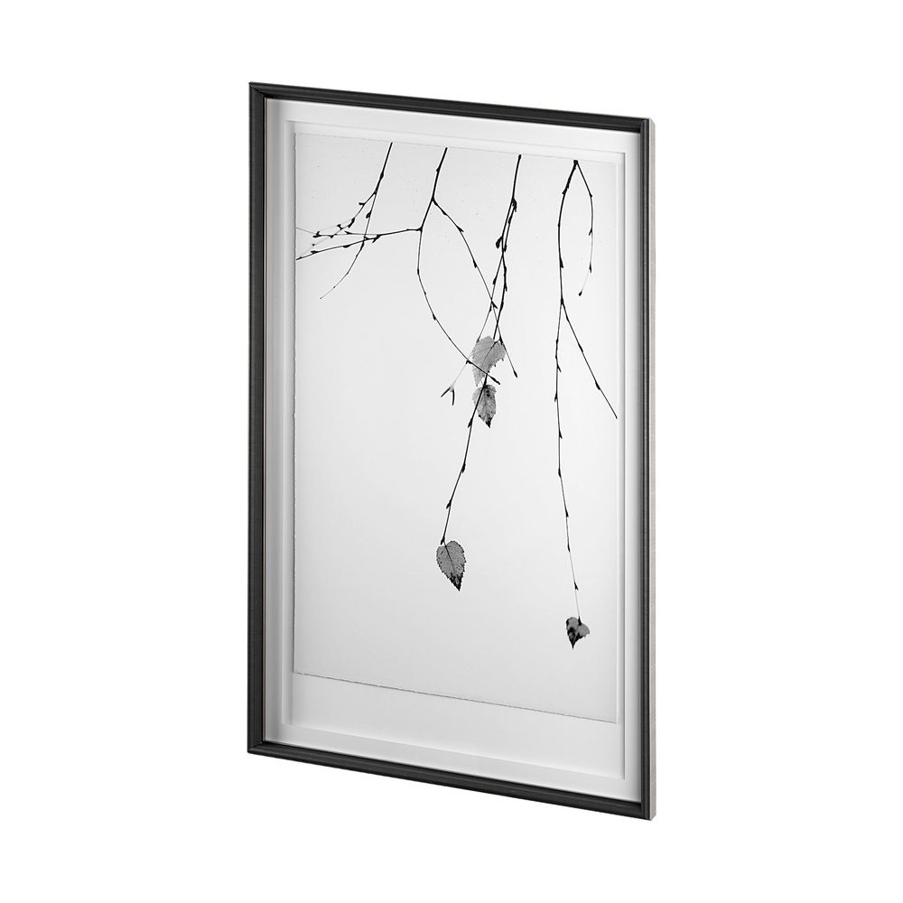 Branch Framed Series