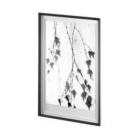 Branch Framed Series