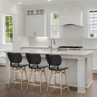 Haden Bar/Counter Stool