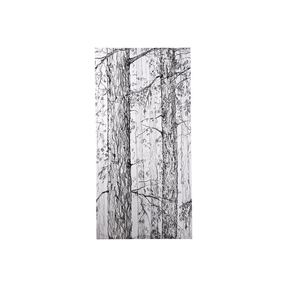 Forest BW Canvas Series