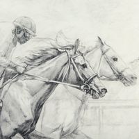 Horse Racing Framed Series