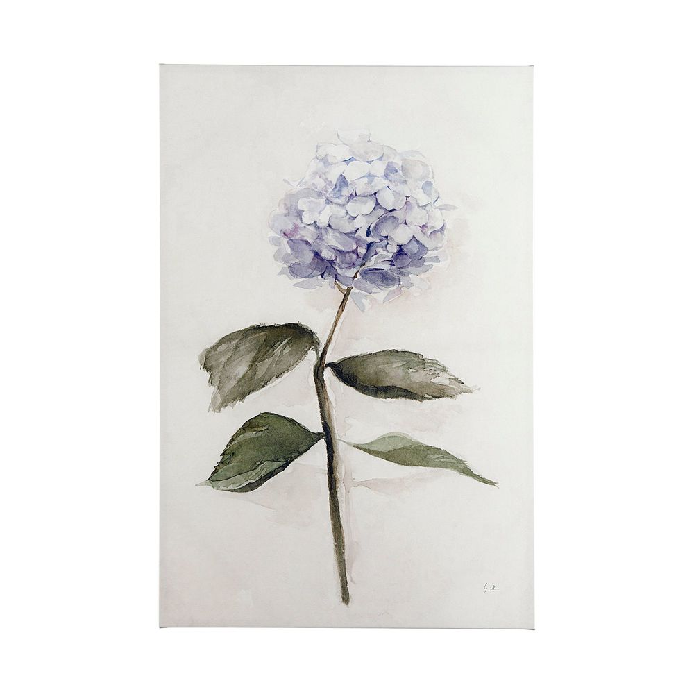 Hydrangea Canvas Series