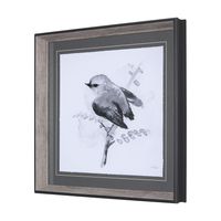 BW Bird Framed Series