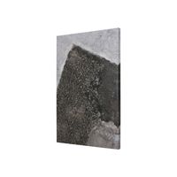 Mudslide Canvas Series