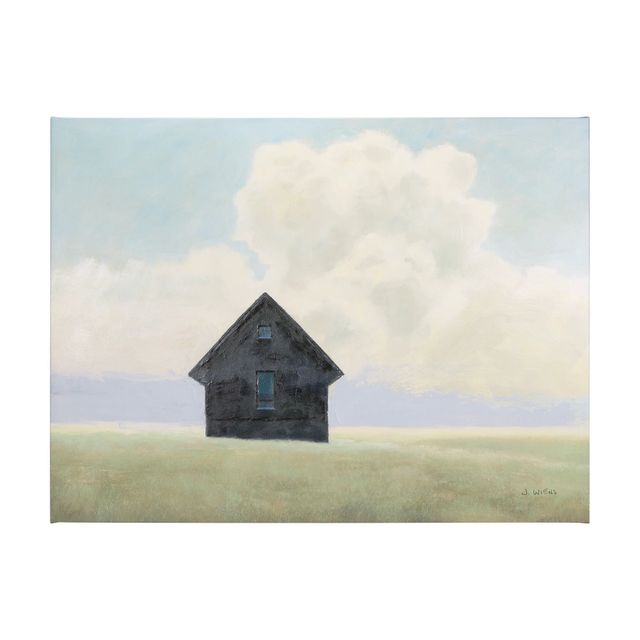 Lonely Landscape Canvas Series