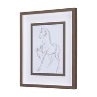 Horse Sketch Framed Series