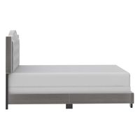 Pixie 60" Queen Bed in Light Grey