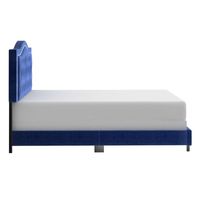 Pixie 60" Queen Bed in Blue