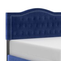 Pixie 60" Queen Bed in Blue