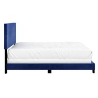 Jedd 60" Queen Bed in Blue Velvet