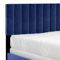 Jedd 60" Queen Bed in Blue Velvet