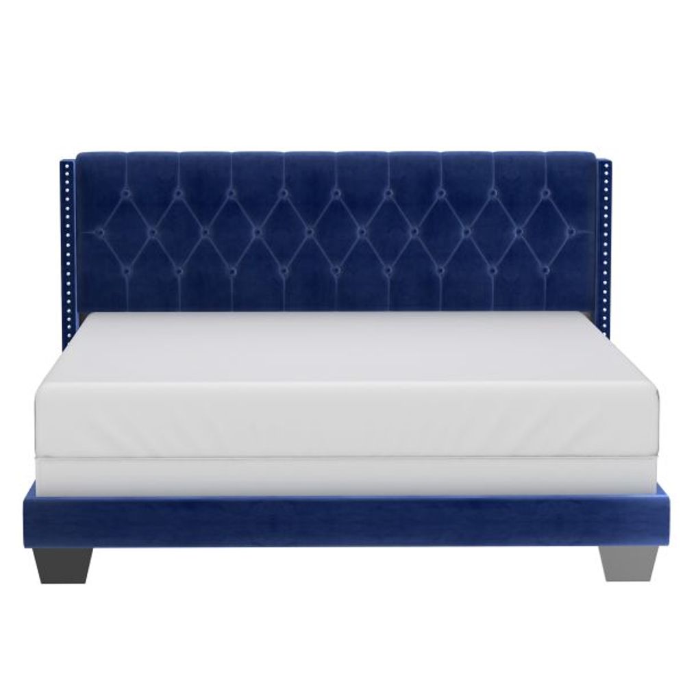 Gunner 78" King Bed in Blue Velvet