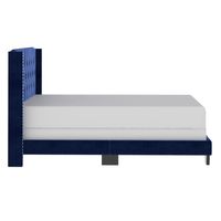 Gunner 60" Queen Bed in Blue Velvet