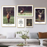 Fauna Set of 5 Alloy Matt - Golden Frame Wall Art