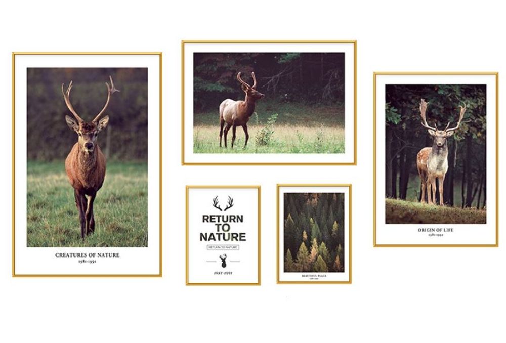 Fauna Set of 5 Alloy Matt - Golden Frame Wall Art