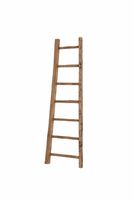 D-Bodhi Small Ladder