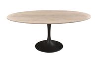 Aspen Oval Dining Table with Metal Base