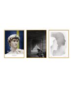 Noble Set of 3 Alloy Matt - Golden Frame Wall Art