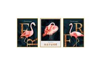 Pink Harmony Set of 3 Alloy Matt - Golden Frame Wall Art