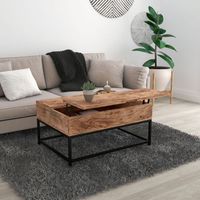 Ojas Lift-Top Coffee Table in Natural Burnt