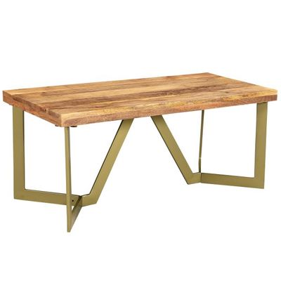 Zivah Coffee Table in Natural & Aged Gold