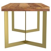 Zivah Coffee Table in Natural & Aged Gold