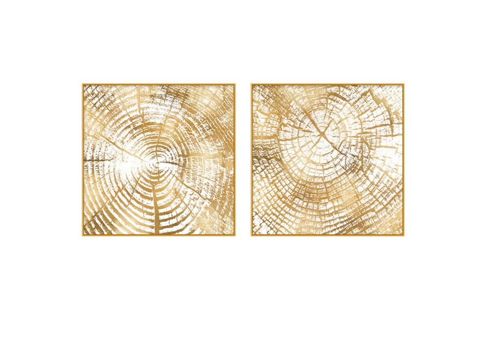 Gemini Set of 2Alloy Matt - Golden Frame Wall Art