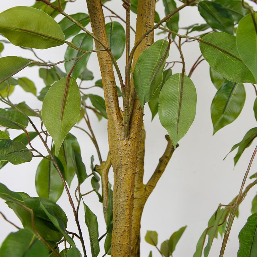 Ficus Tree Faux Plant 170cm/ 67"