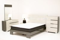 Benson Grey/ Brown Glossy Finish Queen Bed