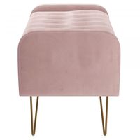 Sabel Storage Ottoman/Bench in Blush Pink with Gold Leg