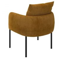 Petrie Accent Chair in with Black Leg