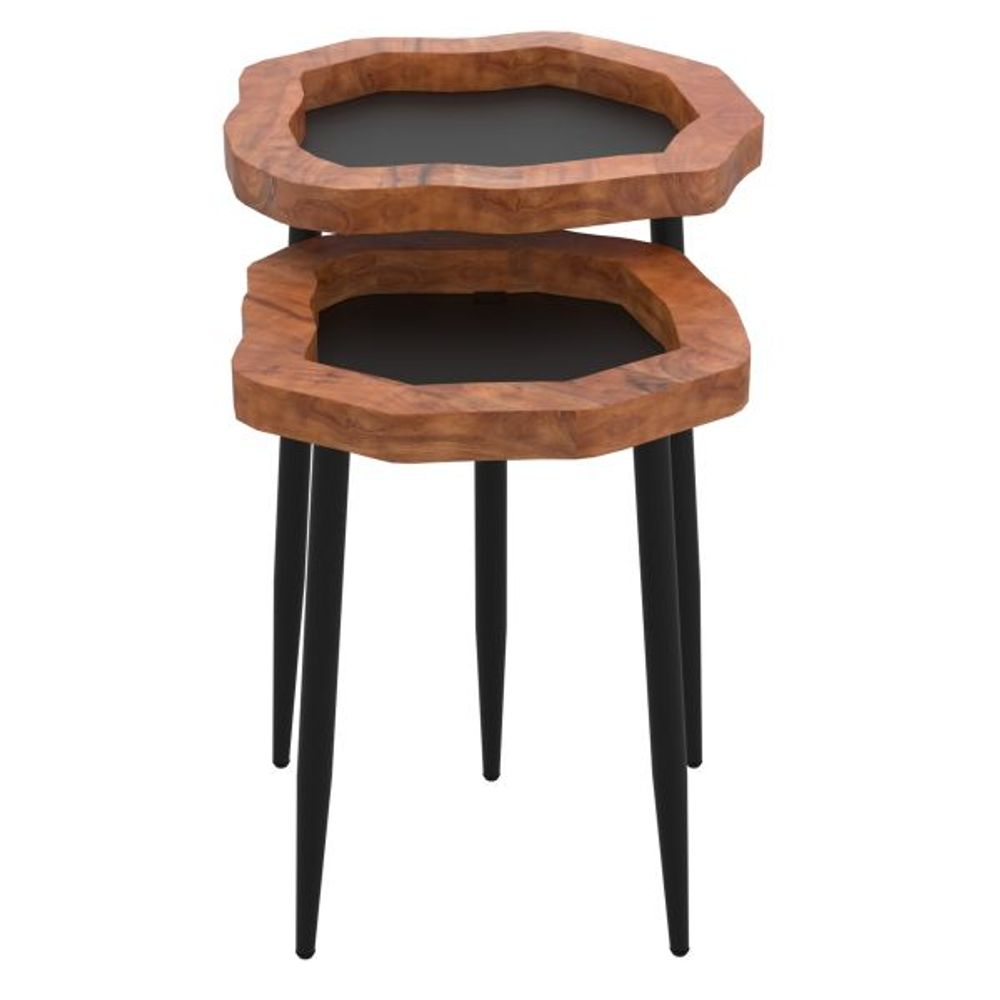 Disha 2pc Accent Table Set in Black