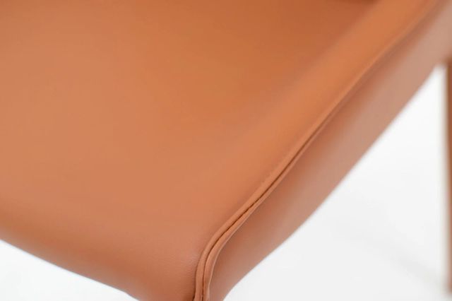 Tango Dining Chair-Orange/Brown