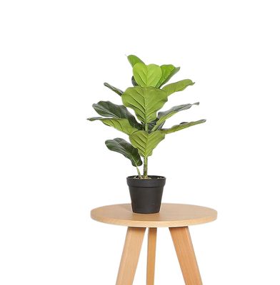 Fiddle Leaf Fig Faux Plant 50cm/ 19.7"