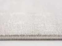 Cate Rug - 209999 Grey