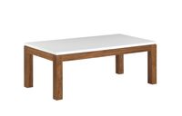 Modera 47-inch Coffee Table  - T2-MD100C