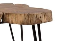 Deschutes Log Coffee Table