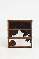 Global Archive Hair-on-Hide Accent Chest