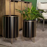 Pianta 13 x 21 Set of Two Black Metal Insert Brass Frame Plant Stands