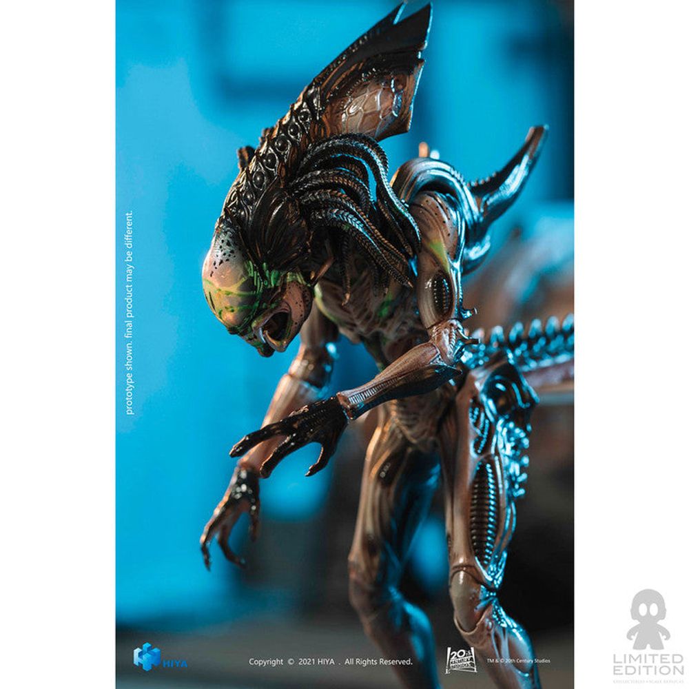 Hiya Toys Figura Articulada Predalien Battle Damage Alien Vs. Predator By Paul W. S. Anderson - Limited Edition