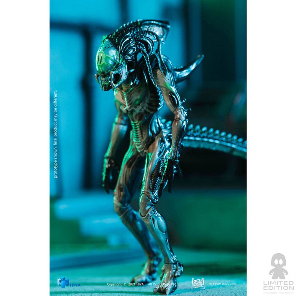 Hiya Toys Figura Articulada Predalien Battle Damage Alien Vs. Predator By Paul W. S. Anderson - Limited Edition