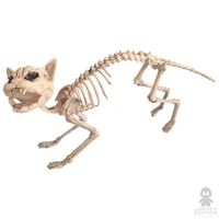 Rev Figura Cat Skeleton Horror By Rev - Limited Edition