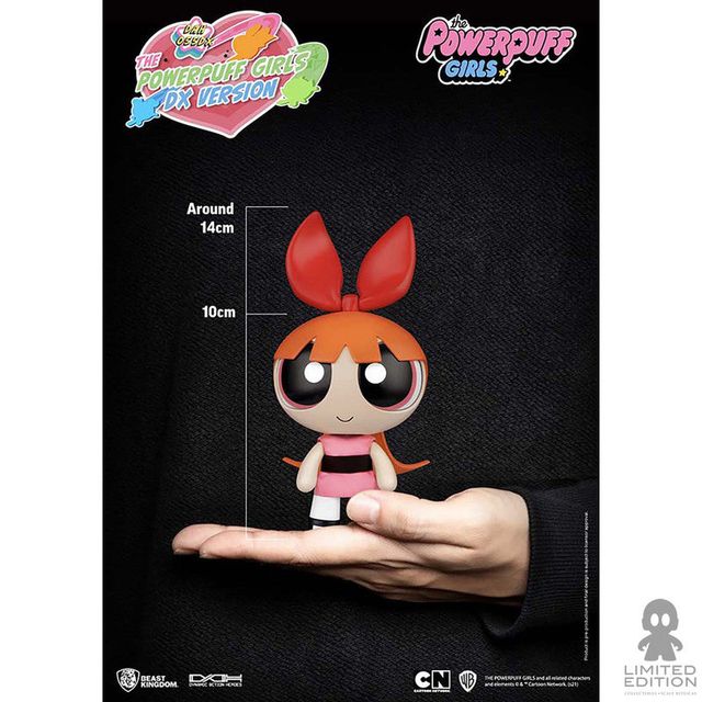  ¡Animo, Cactus! Las Supernenas Z (Las Supernenas Z / Powerpuff  Girls Z) (Spanish Edition): 9788421686034: VV. AA.: Books