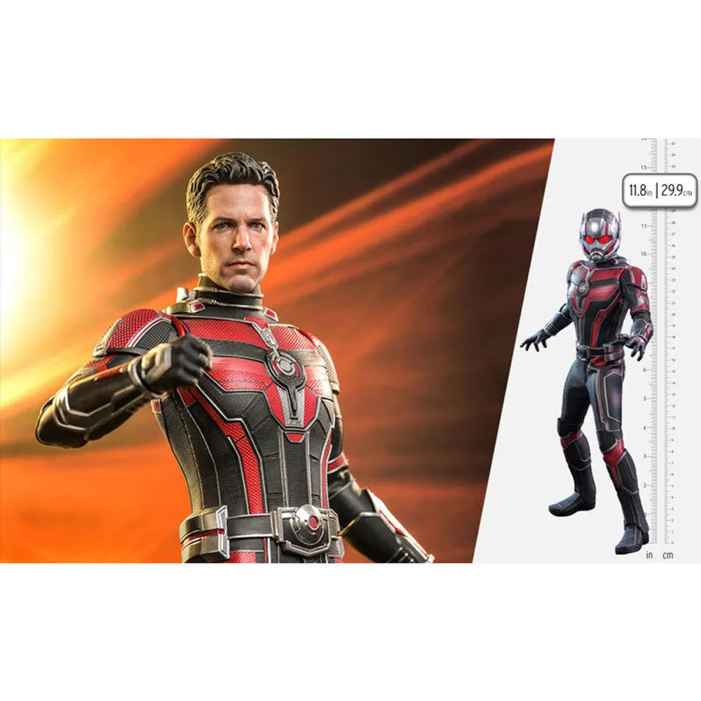 Preventa Hot Toys Figura Articulada Ant-Man Escala 1:6 Ant-Man And The Wasp: Quantumania By Marvel - Limited Edition