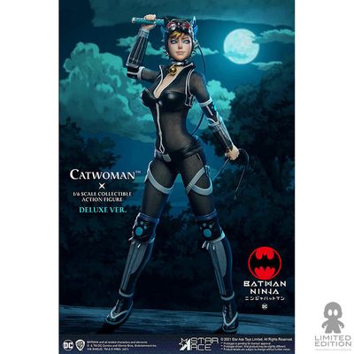 Star Ace Figura Articulada Catwoman Escala 1:6 DC