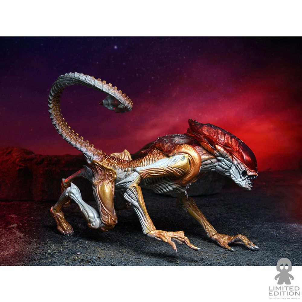 Neca Figura Articulada Panther Allien Kenner Tribute 7 Pulg Alien - Limited Edition