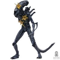 Hiya Toys Figura Articulada Battle Damage Alien Warrior Exclusive Alien