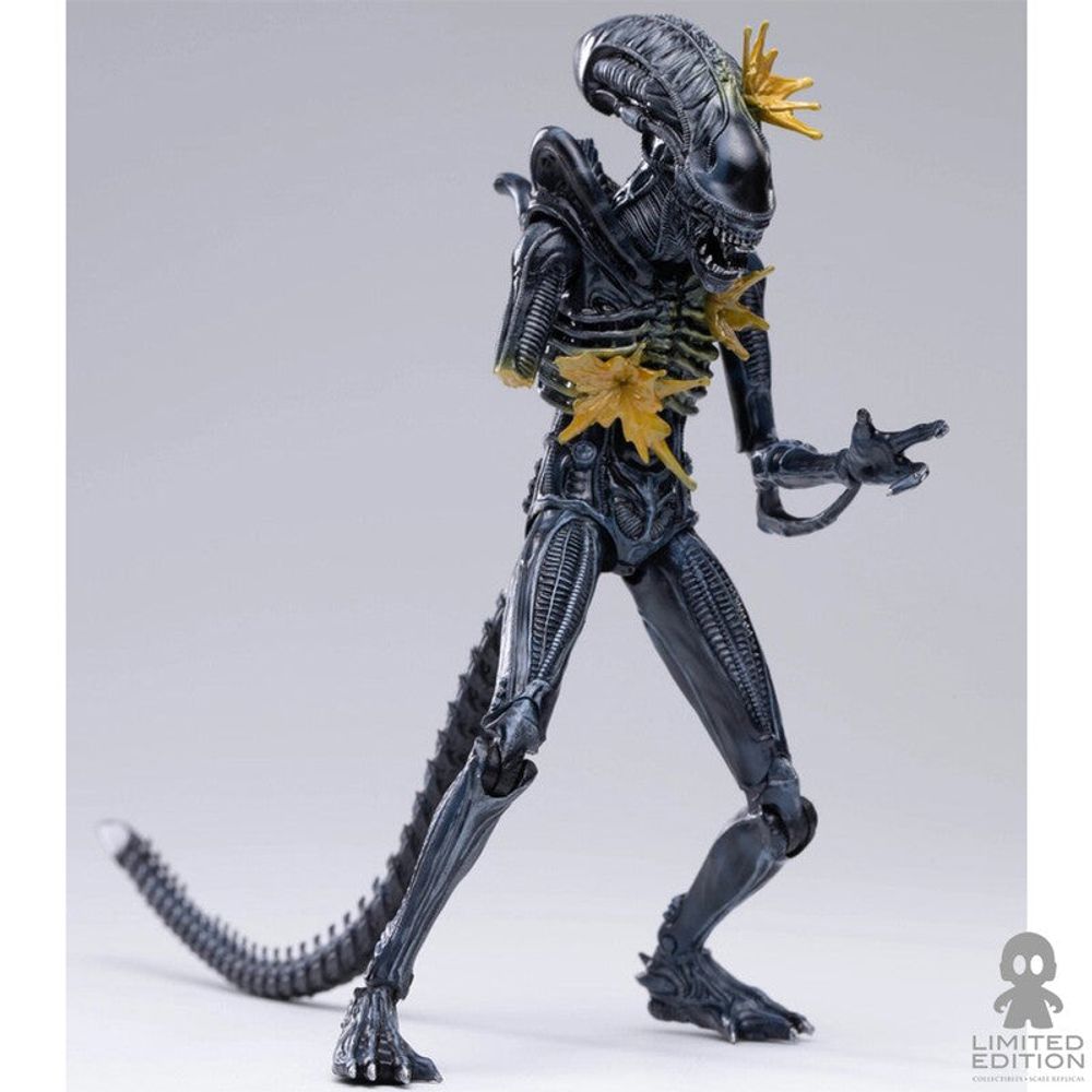 Hiya Toys Figura Articulada Battle Damage Alien Warrior Exclusive Alien