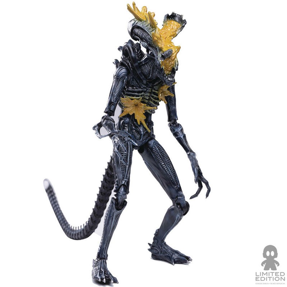 Hiya Toys Figura Articulada Headshot Warrior Alien Exclusive Alien